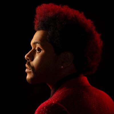 The Weeknd照片